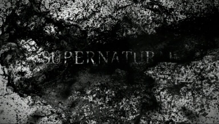 The Winchester Family Business Supernatural Season 7 Fan Awards