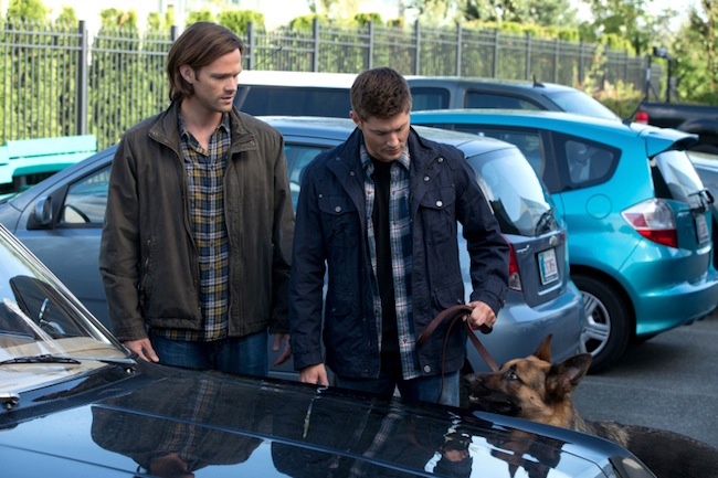 Thoughts on Supernatural 9×05: Dog Dean Afternoon
