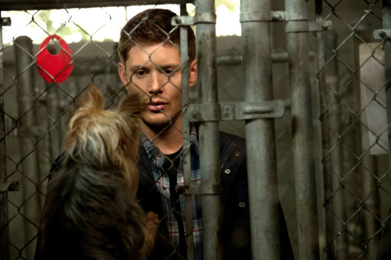 Let’s Speculate: Supernatural 9×05 “Dog Dean Afternoon”