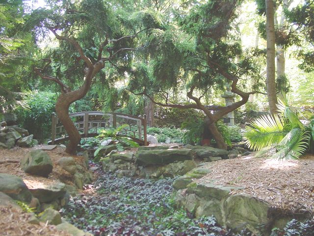 japanese garden