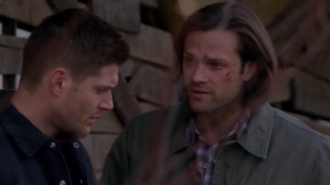 Alice’s Review: Supernatural 10.23, “Brother’s Keeper” aka Sam and Dean Broke the World Again?