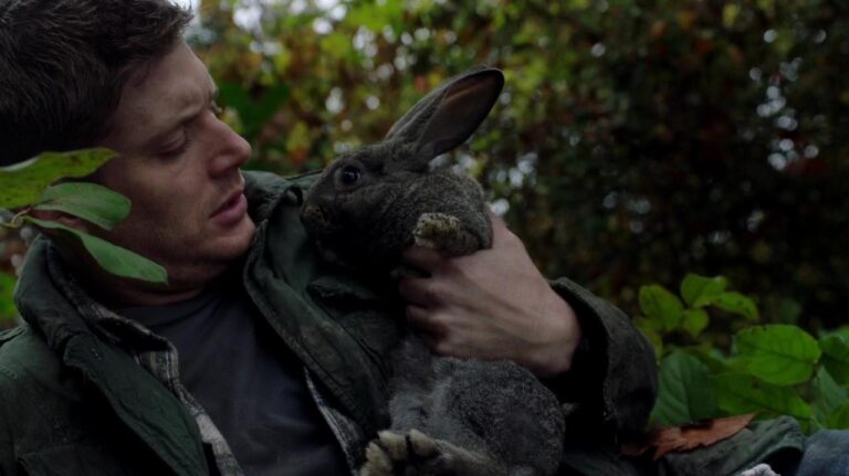 Supernatural and Watership Down: Classic Heroes from Hunters to Hares