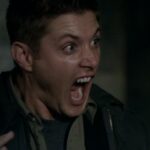 4.06 - Yellow Fever